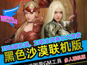 [联网]黑色沙漠网单联机版|海盗端|可自助发物品|一键全知识